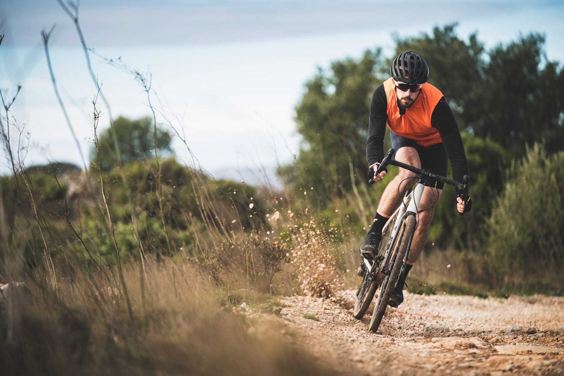 Mavic img deco 1